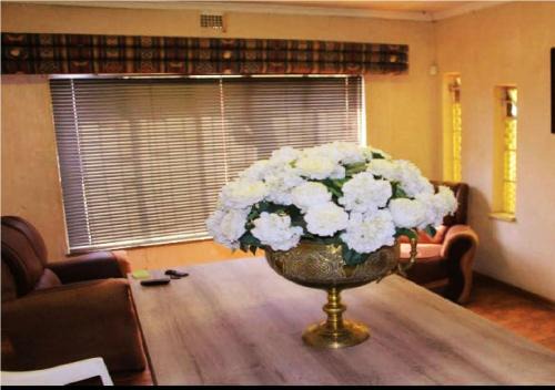 New Redruth House | Nsk Guest House Alberton