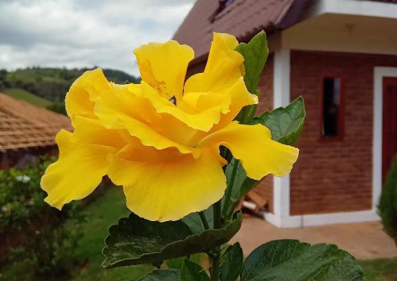 Olimpio Noronha Cabin | O CHALÉ