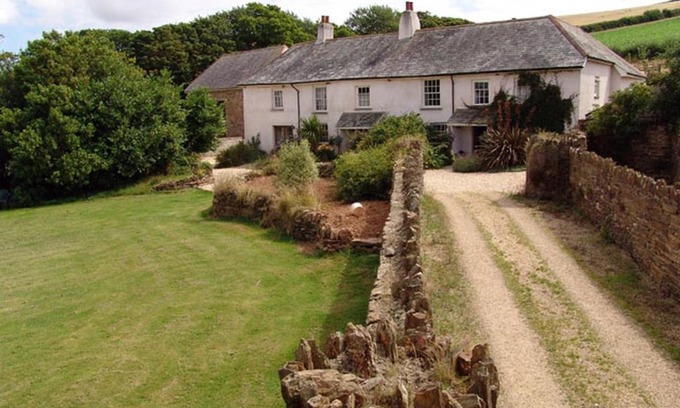 Washbourne House | Oak Tree
