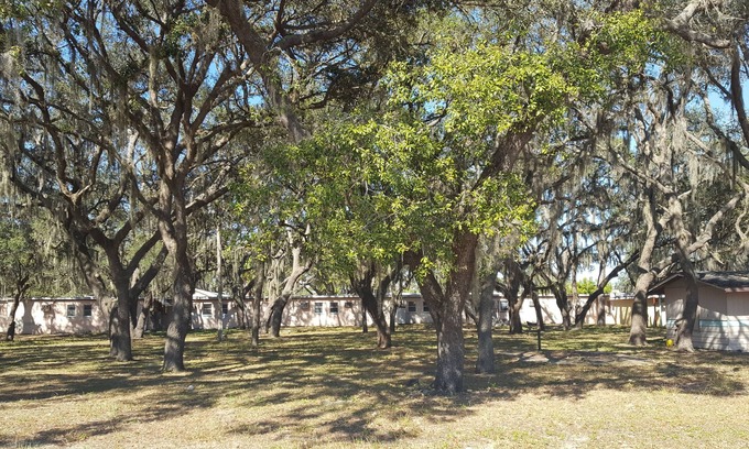 Florida South Atlantic Coast Hotel | Oak Tree Inn