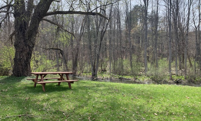 Fly Creek House | ⭐️Oaks Creek Manor⭐️NEW Listing⭐️ON Oaks Creek Sleep7