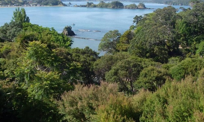 Oakura House | Oakura Bay view (La Belle Vue)