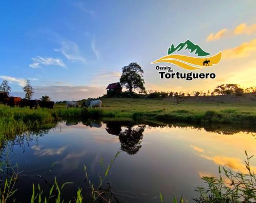 Cariari Ski Chalet | Oasis del Tortuguero
