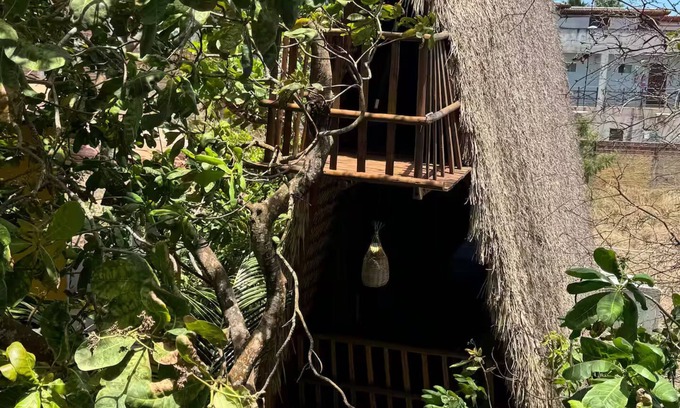 Pipa Cabin | OccA Pipa - Woodpecker Cabin