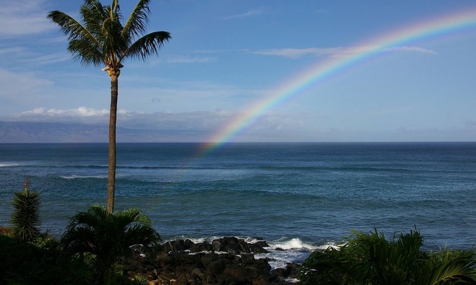 Honokowai Condo | Ocean Front - Kuleana 411
