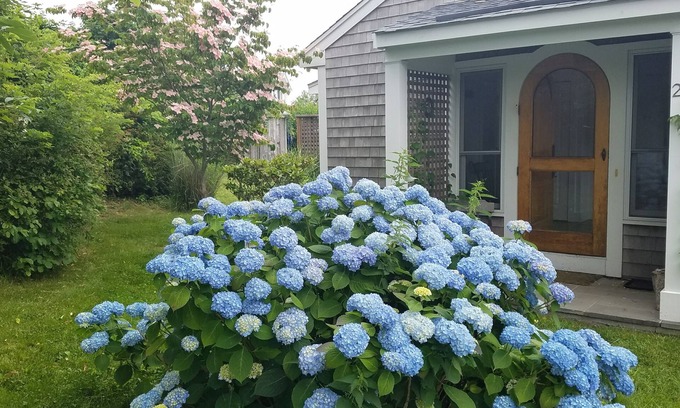 Little Compton House | Ocean views everywhere, walk to beach, bike to town