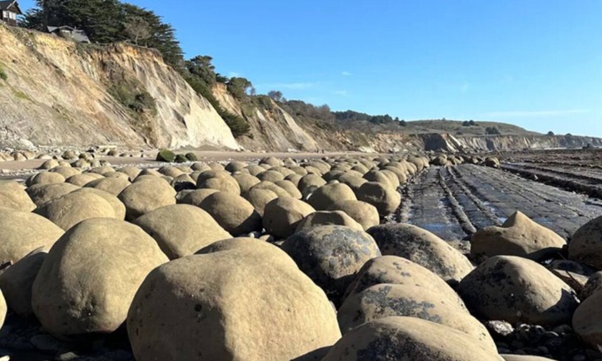 Gualala House | Ocean Waves crashing Surrounded by Redwoods, pet friendly! Welcome Home.