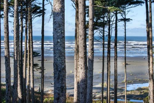 Seabrook House | Oceanaire by Seabrook Hospitality