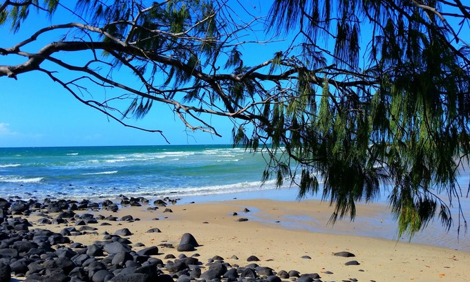 Coral Cove Apartment | Oceanfront Retreat The Cove Studio - Pet friendly