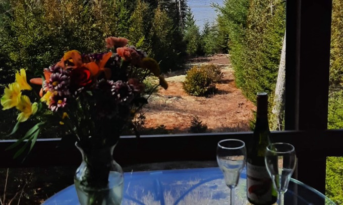 Gouldsboro Cottage | Oceanfront; Stunning views of Cadillac. Acadia & Schoodic nearby. Kayaks, too!