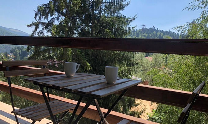Sinaia Apartment | Olala Forest Apartment 1.1