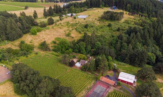 Newberg House | Old Farm: A Modern-day 5-bedroom Farmhouse on Vineyard with Hot Tub!