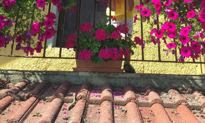 Palagano House | Old Mountain House