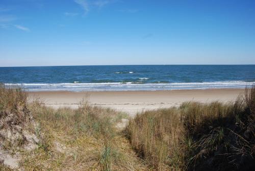 Cottage Line House | Old Time Beach Front Cottage - The Beach is your Backyard! Pet Friendly cottage
