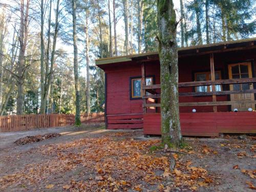 Biskupiec Cabin | Oleandria -,Domek Pokrzywa"