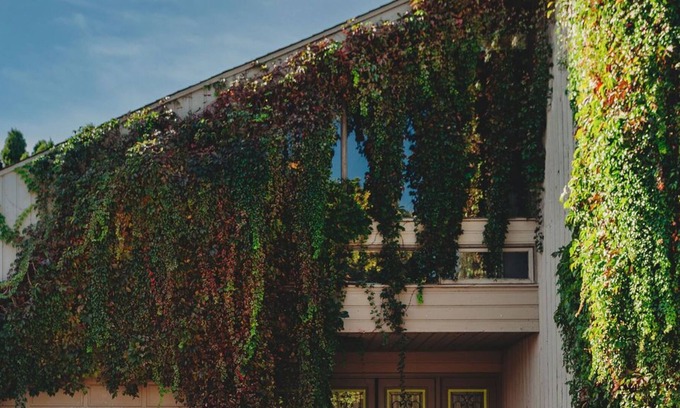 Black Mountain Villa | Olga's Okanagan 14 Acre Villa!