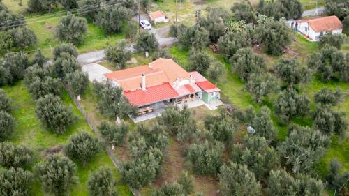 Oichalia House | Olive Grove Getaway