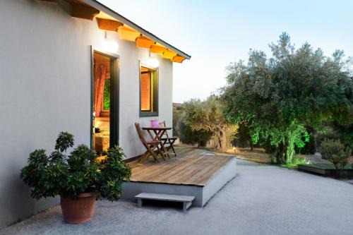 Metochi House | Olive Grove