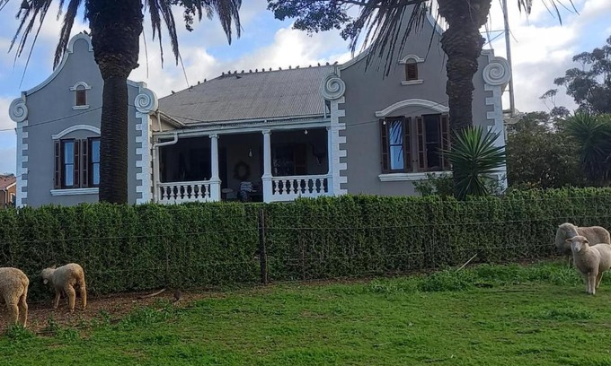 Moorreesburg House | Olive Tree Guesthouse