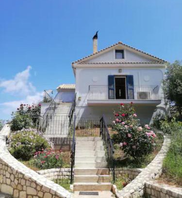 Aetos House | OliveTree House