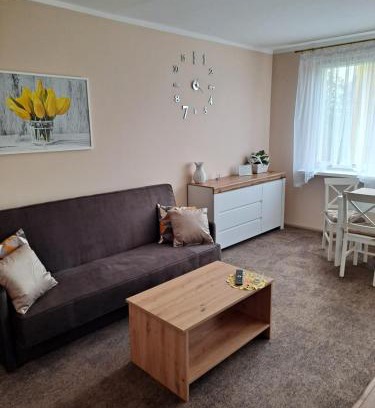 Jelenia Gora Apartment | OLIVIA