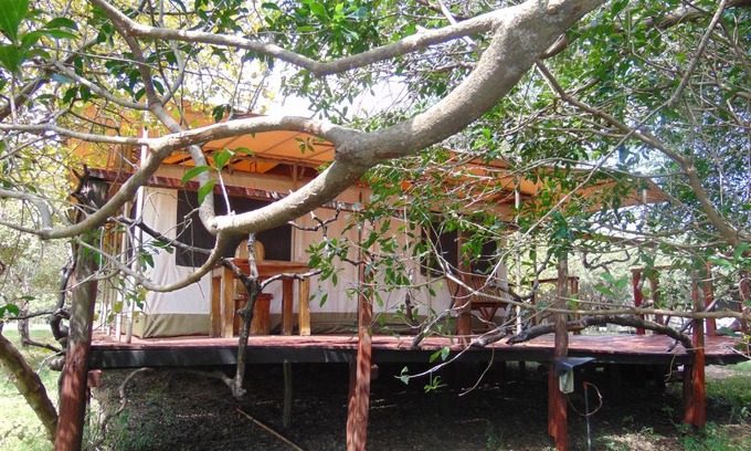 Maasai Mara Hotel | Olumara Tented Camp