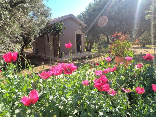 Paliki House | olvia