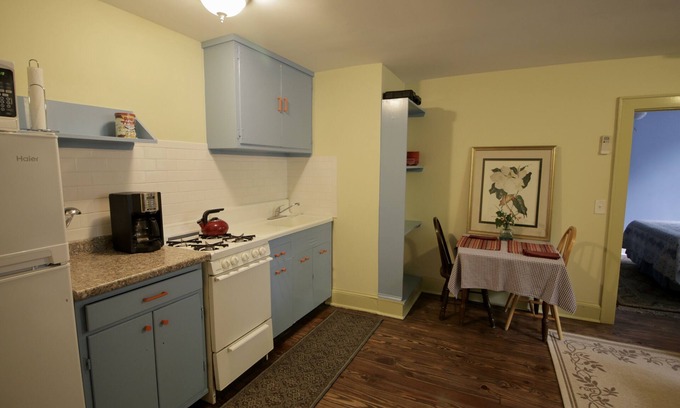 Athens Apartment | On Boulevard. Sleeps 4. Newly Renovated Apartment! Walk to downtown and stadium.