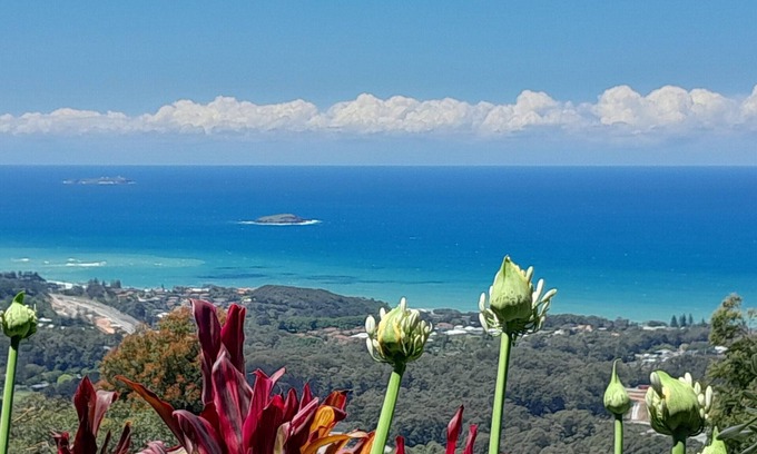 Korora Apartment | ON TOP OF THE WORLD Garden StudionPanoramic Ocean Views, Close to Town & Beaches