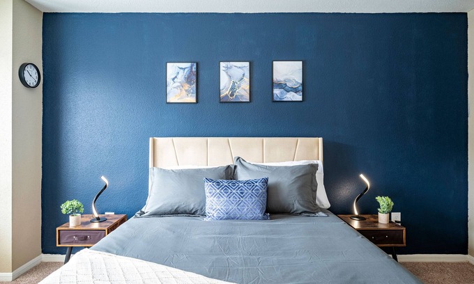 Astrodome Apartment | Once in a Blue Room - Medical Center - 30+ day stays