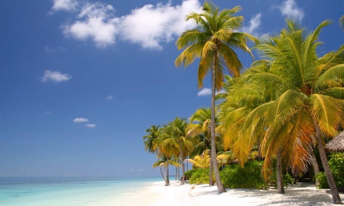 Key Colony Beach Condo | One of the Best Private Beaches in US! Great Location fun activities-Fast Wifi!
