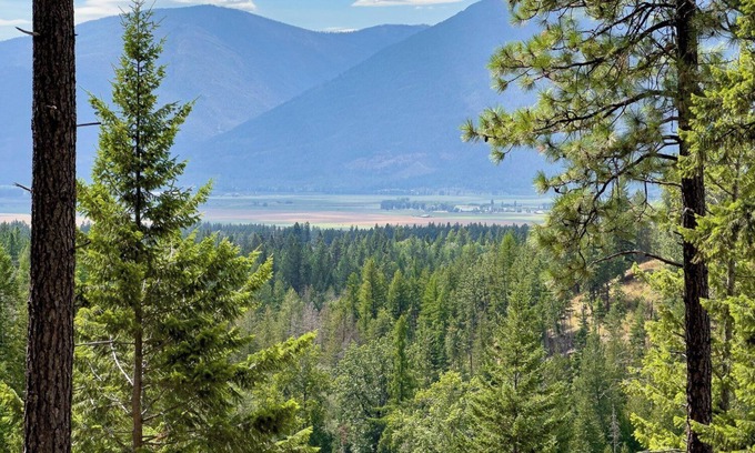 Bonners Ferry House | One Small Rv Space North of Bonners Ferry. n50 Amp, Water, Sewer. Ask about pets