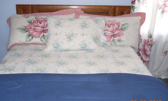 Detroit House | ONLY 6 MILES SOUTH OF DOWNTOWN DETROIT! 3 BEAUTIFUL BEDROOMS IN A BUNGALOW!