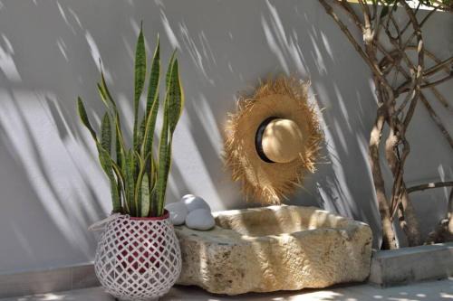 Lixouri House | Onore