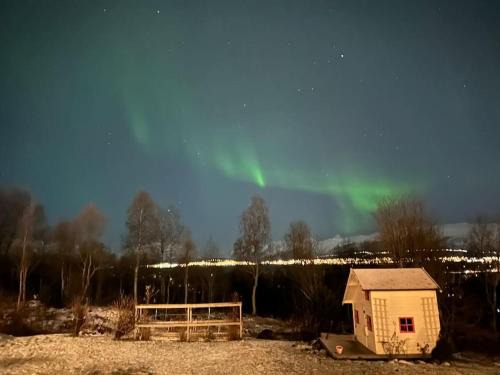 Tromso Apartment | Oppdag Tromsø fra vår leilighet!