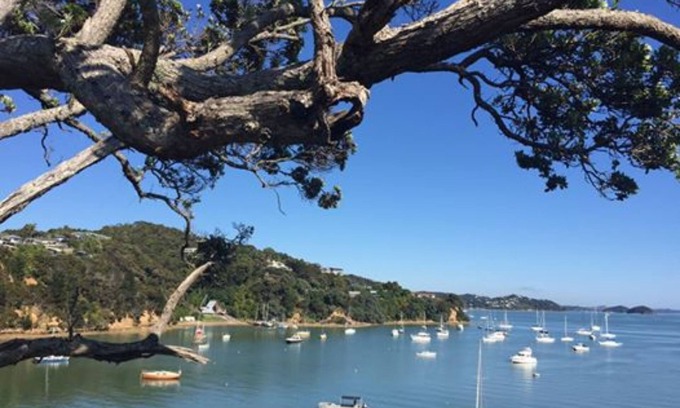 Opua Hotel | Opua Boutique Seaview Motel