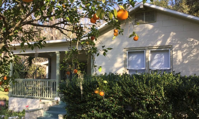 McIntosh House | Orange Blossom in Historic McIntosh