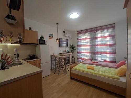Tankovo Apartment | Orange Studio on Sunny Day 6 Complex