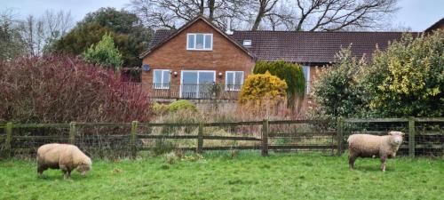 Tiverton House | Orchard Cottage