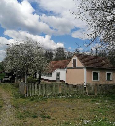 Babina Greda Apartment | Orljak