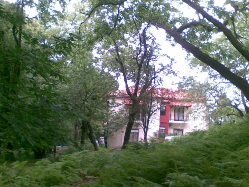 Therma Hotel | Orpheus Hotel