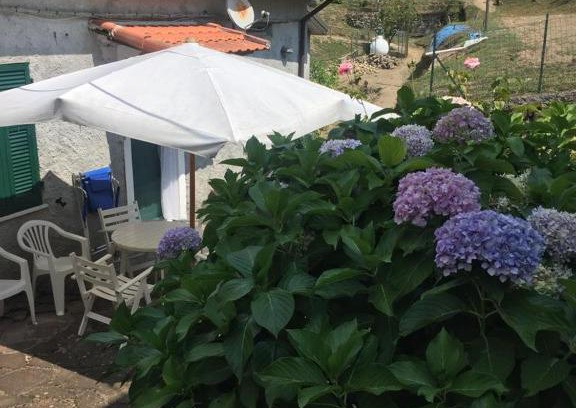 Pignone House | Ortensia