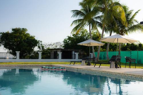 Aguacate House | Outsite Puerto Rico Aguadilla
