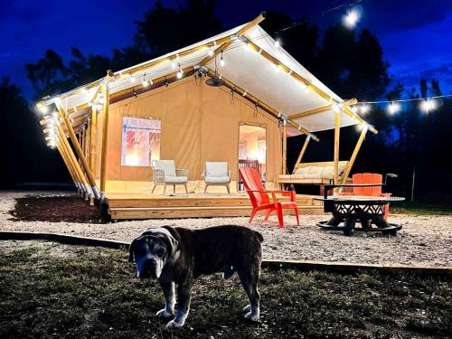 Punta Gorda Other | Outstanding Safari Tent with Jacuzzi and and Beautiful Outdoor and Indoor Living in Florida