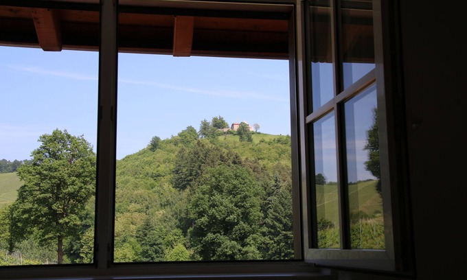 Durbach Apartment | Overnight stay in the winery Neveu - Schlossblick