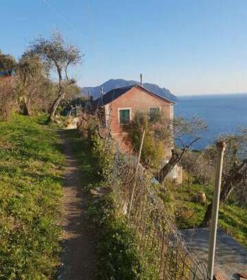 Sori House | Pace tra gli ulivi e il mare