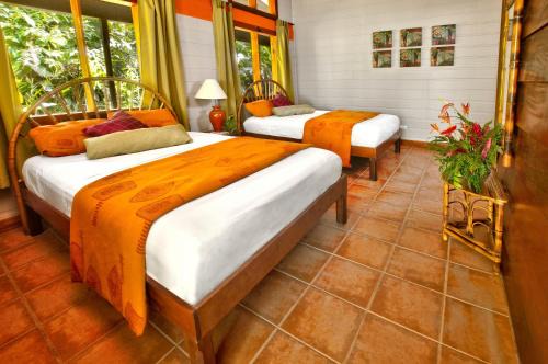 Tortuguero Hotel | Pachira Lodge
