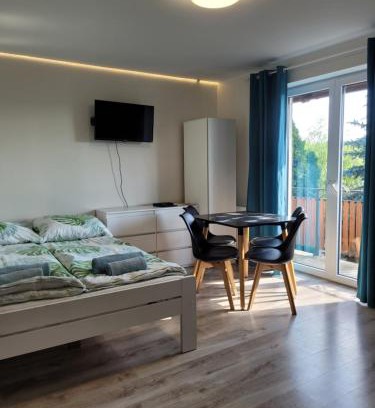 gmina Karsin Apartment | PAKLADA 2 Pokój typu studio