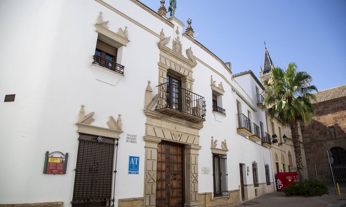 Andujar Apartment | Palacio Sirvente de Mieres