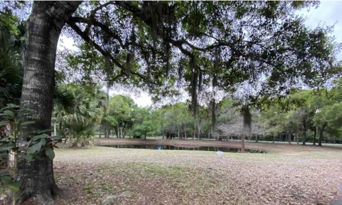 Palm City House | Palm Retreat Estate - Main house & Guest House - Pool, hot tubs, game room